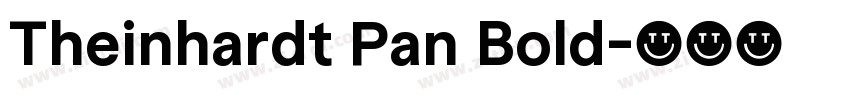Theinhardt Pan Bold字体转换 Theinhardt Pan Bold字体转换